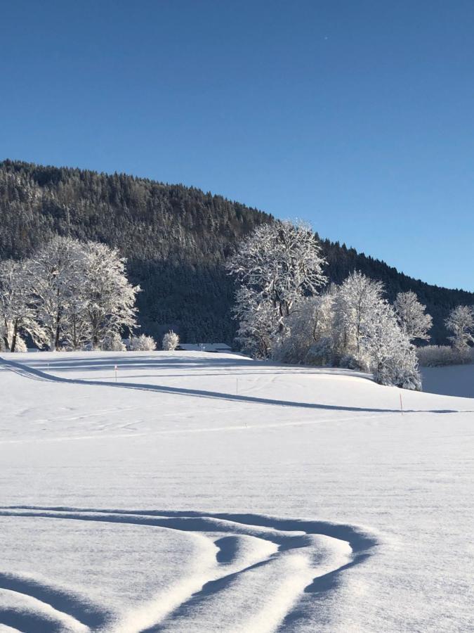 Lindenhof Inzell - Fewo Mit Chiemgaukarte Exteriör bild